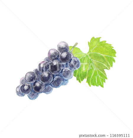 用水彩畫的巨峰山 116395111