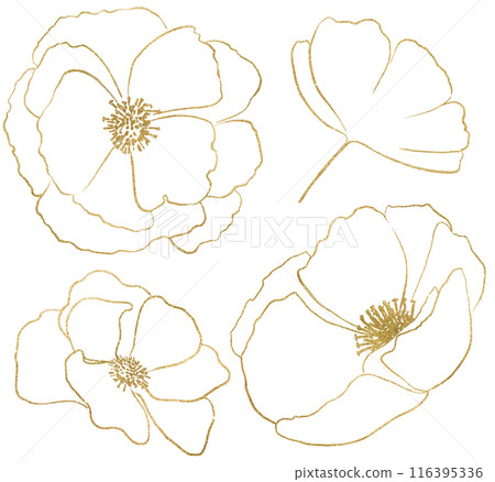 Hand drawn wildflowers, golden outlines poppy flowers isolated illustration, wedding stationery Hand drawn wildflowers, golden outlines poppy flowers isolated illustration, wedding stationery 116395336
