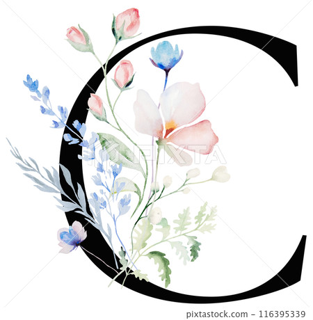 Black letter C with Watercolor pastel tender wild flowers and leaves, wedding isolated illustration Black letter C with Watercolor pastel tender wild flowers and leaves, wedding isolated illustration 116395339