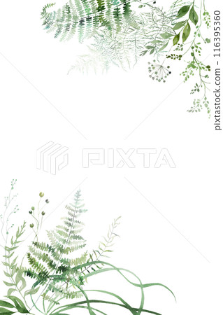 Wedding vertical background with Watercolor fern and botanical green leaves, copy space 116395360