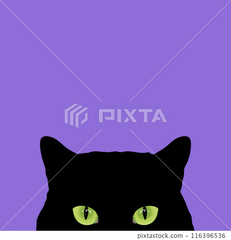 Peeking black cat with green eyes isolated on white background. Curious cat hides and peeks. Vector illustration Peeking black cat with green eyes isolated on white background. Curious cat hides and peeks. Vector illustration 116396536