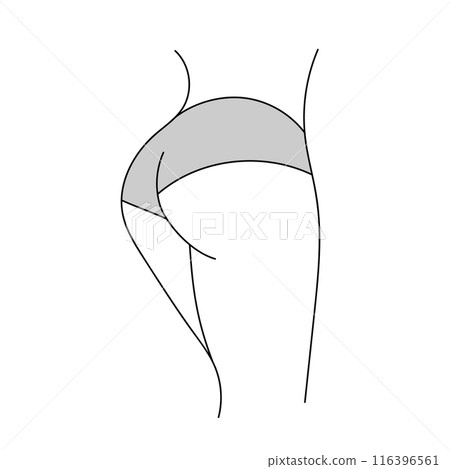 Female buttocks line art illustration. Woman body butt, ass silhouette. Female buttocks line art illustration. Woman body butt, ass silhouette. 116396561