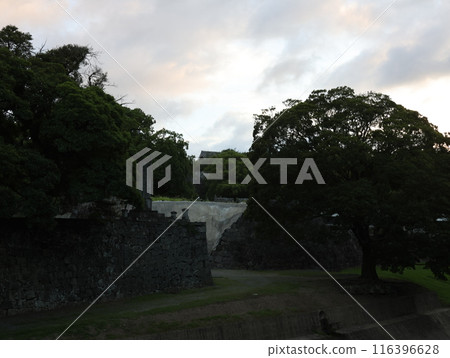 熊本城的風景 116396628