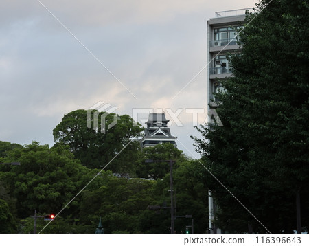 熊本城的風景 116396643