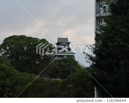 熊本城的風景 116396644