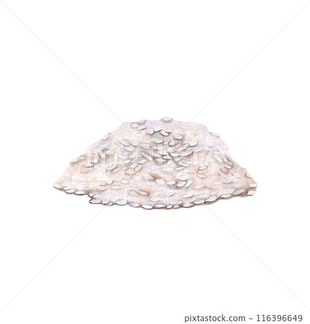 Pile of white rice watercolor illustration. Hand drawn design element isolated from background. Organic farming grains painting for crop harvesting, product packaging or food ingredients clip art Pile of white rice watercolor illustration. Hand drawn design element isolated from background. Organic farming grains painting for crop harvesting, product packaging or food ingredients clip art 116396649