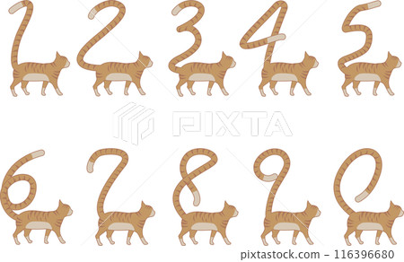 Brown tabby cat set with numbers on its tail 116396680