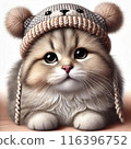 可愛的貓戴著可愛的帽子。 116396752