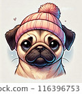 戴著可愛的帽子，印象輕鬆的哈巴狗。 116396753