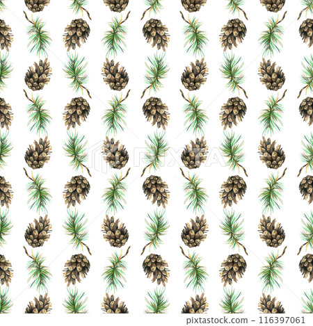 Pine branches and cones. Watercolor illustration hand drawn. Seamless pattern forest, summer, autumn on a white background Pine branches and cones. Watercolor illustration hand drawn. Seamless pattern forest, summer, autumn on a white background 116397061