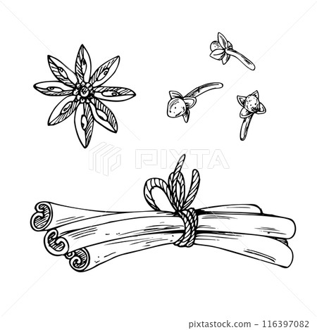 Cinnamon tied rope, cardamom, cloves, spices for winter, New Year s drinks and food. Line art is a simple hand-drawn illustration in black and white ink. Set of isolated objects vector EPS clip art. 116397082