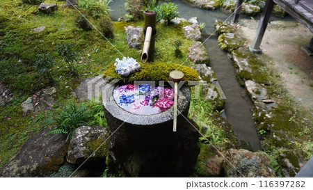 Yanagiya Kannon Yanagiya Kannon 116397282