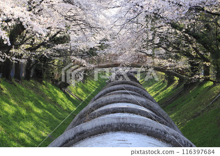 佐久發電廠（櫻花和水閘門） 116397684