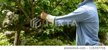 一個人修剪樹枝 116397708