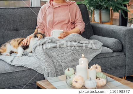 Close up woman in plaid holding cup of tea or coffee, watching movie, TV with multicolored cat on the sofa at home, decorated for fall holidays. Cozy and comfortable autumn concept. Selective focus 116398877