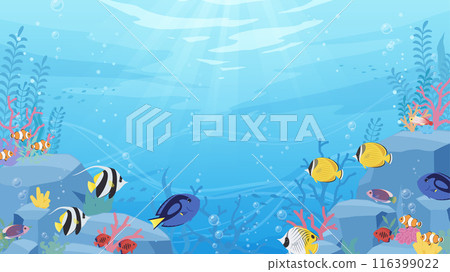 熱帶魚在有岩石和珊瑚的海中游泳的背景圖_16:9 116399022