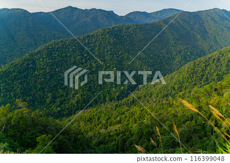High-altitude landscape. High-altitude landscape. 116399048