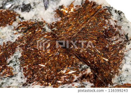 Macro stone Astrophyllite mineral on white background 116399243