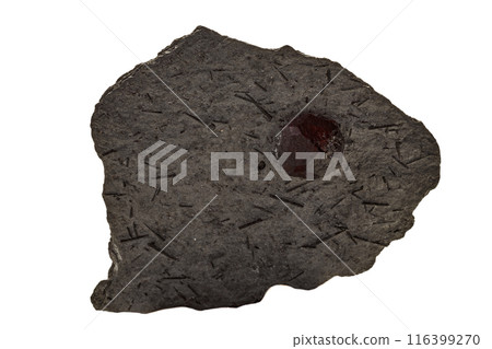 Macro mineral stone Garnet in rock on a white background Macro mineral stone Garnet in rock on a white background 116399270