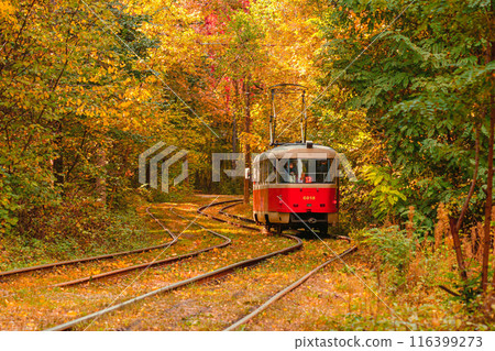 Autumn forest through which an old tram rides (Ukraine) Autumn forest through which an old tram rides (Ukraine) 116399273