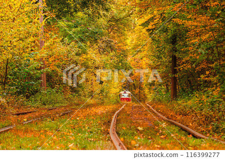 Autumn forest through which an old tram rides (Ukraine) 116399277