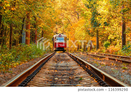 Autumn forest through which an old tram rides (Ukraine) 116399298