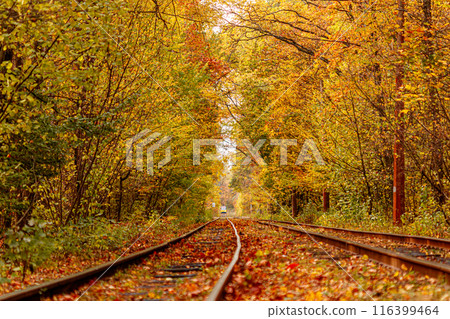 Autumn forest through which an old tram rides (Ukraine) Autumn forest through which an old tram rides (Ukraine) 116399464