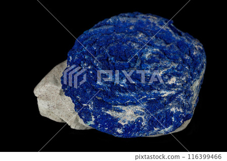 Macro mineral stone Azurite in siltstone against black background 116399466