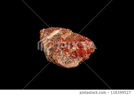 Macro mineral stone Vanadinite on a black background Macro mineral stone Vanadinite on a black background 116399527