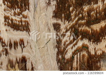 Macro stone mineral petrified wood on a black background Macro stone mineral petrified wood on a black background 116399604