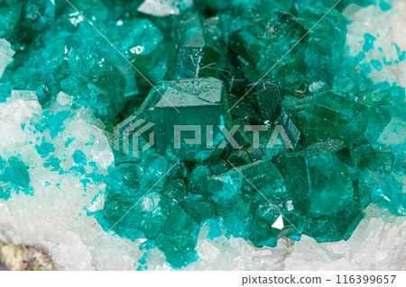 Macro mineral stone Dioptase silicate copper on a white background 116399657