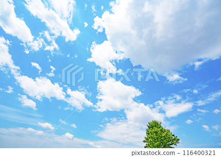 Summer clouds, sun and trees Summer clouds, sun and trees 116400321