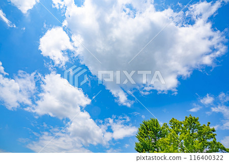 Summer clouds, sun and trees Summer clouds, sun and trees 116400322