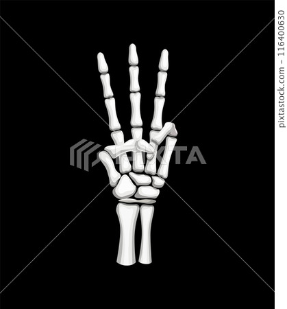 Skeleton hand forms a three-fingered gesture. Isolated vector Halloween skeletal arm creating a striking and eerie symbol with bony fingers extended, embodying a cryptic or mysterious message Skeleton hand forms a three-fingered gesture. Isolated vector Halloween skeletal arm creating a striking and eerie symbol with bony fingers extended, embodying a cryptic or mysterious message 116400630
