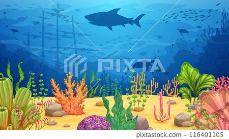 Cartoon underwater landscape with algae seaweeds and sea animal silhouettes, vector background. Ocean or undersea coral reef landscape with sunken ship boat, shark and turtle or fish in deep water Cartoon underwater landscape with algae seaweeds and sea animal silhouettes, vector background. Ocean or undersea coral reef landscape with sunken ship boat, shark and turtle or fish in deep water 116401105
