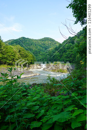 Sorachi Otaki Falls (Sorachi River, early summer 2024) 116401299