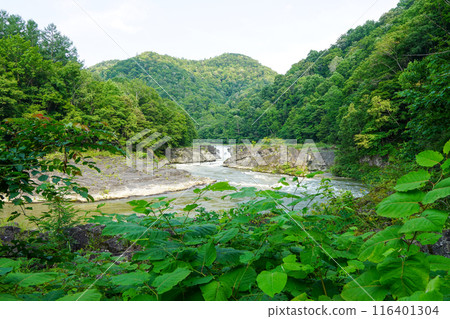 Sorachi Otaki Falls (Sorachi River, early summer 2024) Sorachi Otaki Falls (Sorachi River, early summer 2024) 116401304