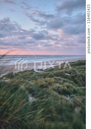 dunes in northern Denmark 116401425