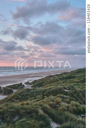 Sunset over wide green dunes in northern Denmark Sunset over wide green dunes in northern Denmark 116401426