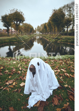 cute dog dressed up for halloween cute dog dressed up for halloween 116401507