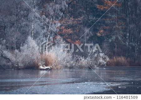 frozen pond in the woods in northern Germany frozen pond in the woods in northern Germany 116401509