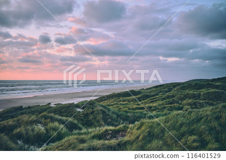 Wide green dunes in northern Denmark Wide green dunes in northern Denmark 116401529
