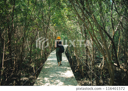 Woman walks on the wooden bridge way, exploring mangrove forest. Woman walks on the wooden bridge way, exploring mangrove forest. 116401572
