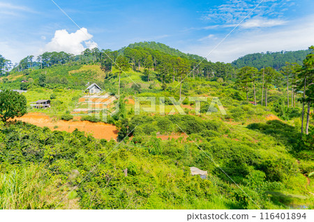 The natural landscape. The natural landscape. 116401894