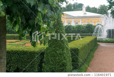 fragment of a french formal garden with topiary and fountain 116401971