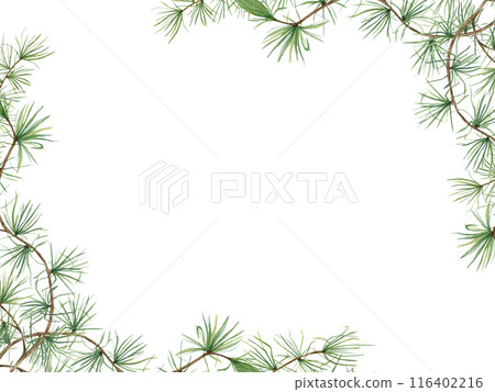 Green pine branches. European Larch or Larix tree (Larix decidua). Beautiful horizontal border with nature theme. Watercolor illustration isolated on white. Copy space for text. Botanical elements 116402216