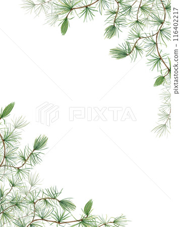 Evergreen branches. European Larch or Larix tree (Larix decidua). Festive vertical frame with nature theme. Watercolor illustration isolated on white. Copy space for text. Botanical elements 116402217
