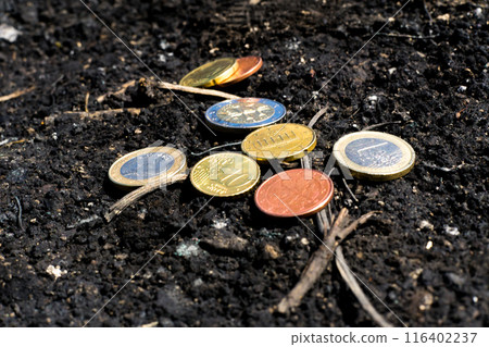 Conceptual image of popular euro currencies on garden soil Conceptual image of popular euro currencies on garden soil 116402237