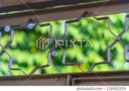 Metal ornament of an eight-pointed star of simplified octogram, symbol of Islamic and Hindu culture in form of star Lakshmi, a composite regular star polygon on green background of foliage with bokeh 116402254