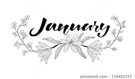 January lettering. January month vector with flowers and leaves. January lettering. January month vector with flowers and leaves. 116402257